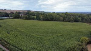 Photo 4- click for photo gallery